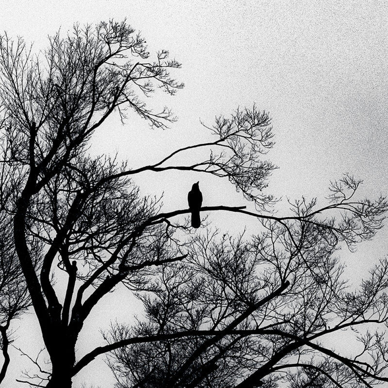 “I Can’t Seem to Control Myself” — London’s Mouth Ulcers Chase the Shadow of Desire in Video for “Closer To You”