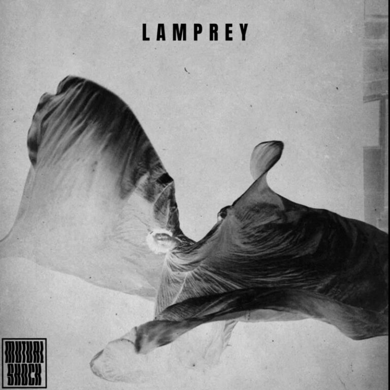 “Mirrored, Twisted, Cracked” — Seattle Darkwave Project Mutual Shock Sinks its Teeth into Cold Circuitry in Video for “Lamprey”