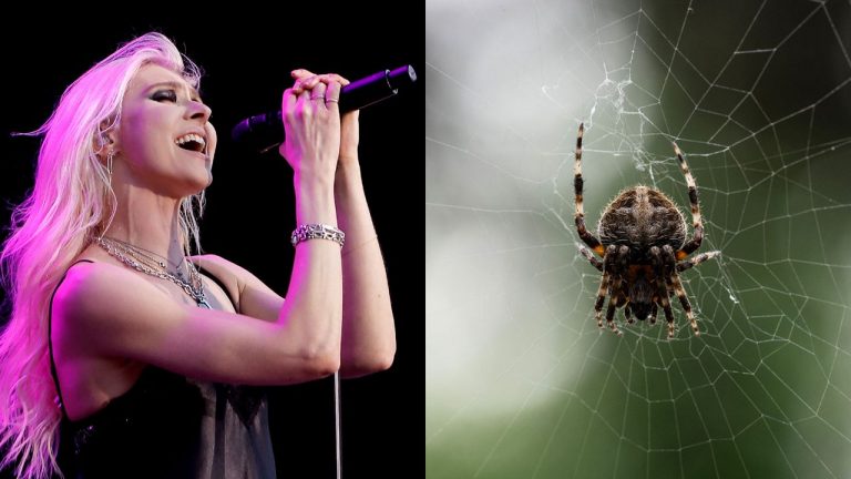 “It’s venom did a number on my system.” The Pretty Reckless’ Taylor Momsen has been bitten by yet another animal on the AC/DC tour