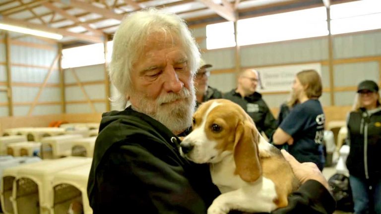 “Seeing these dogs finally get a chance at freedom and loving homes is deeply moving.” Black Sabbath’s Geezer Butler backs rescue of 1500 beagles from Wisconsin breeding facility