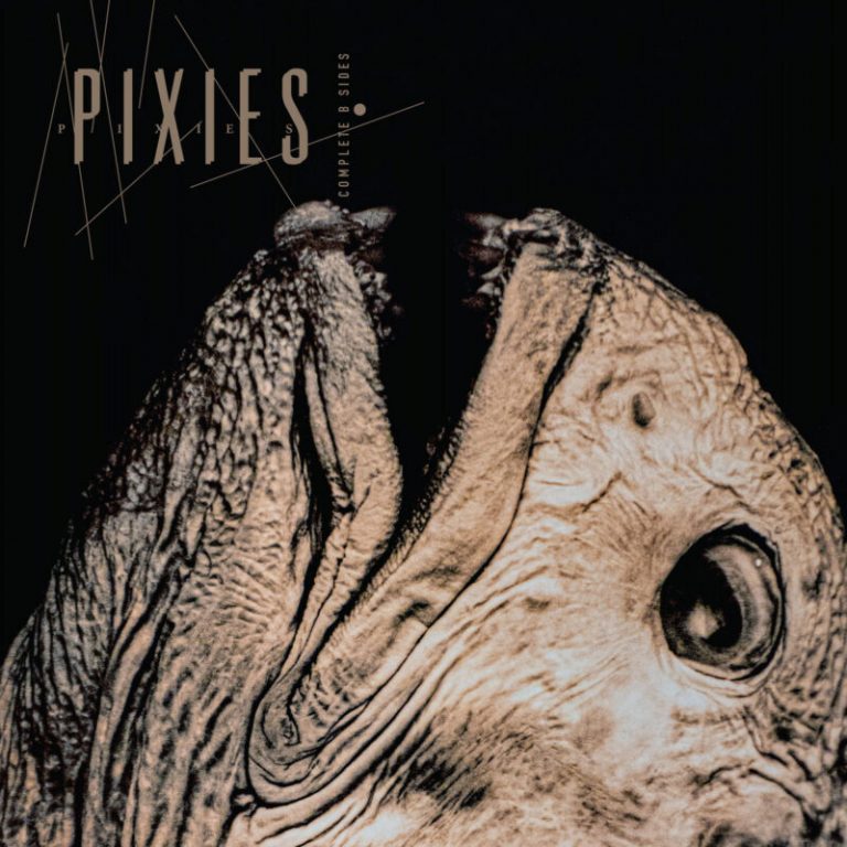 Pixies Announce First-Ever Vinyl Release of “Complete B-Sides: 1988-97”