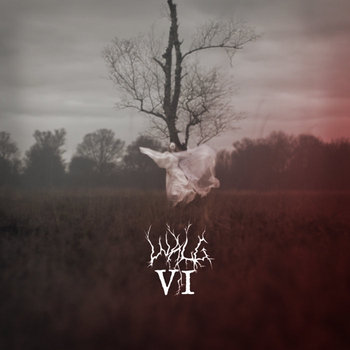 Walg – VI Review