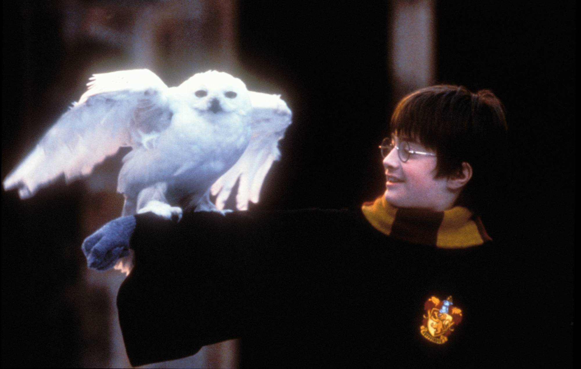 Harry Potter to return to cinemas for 25th anniversary of ‘Philosopher’s Stone’