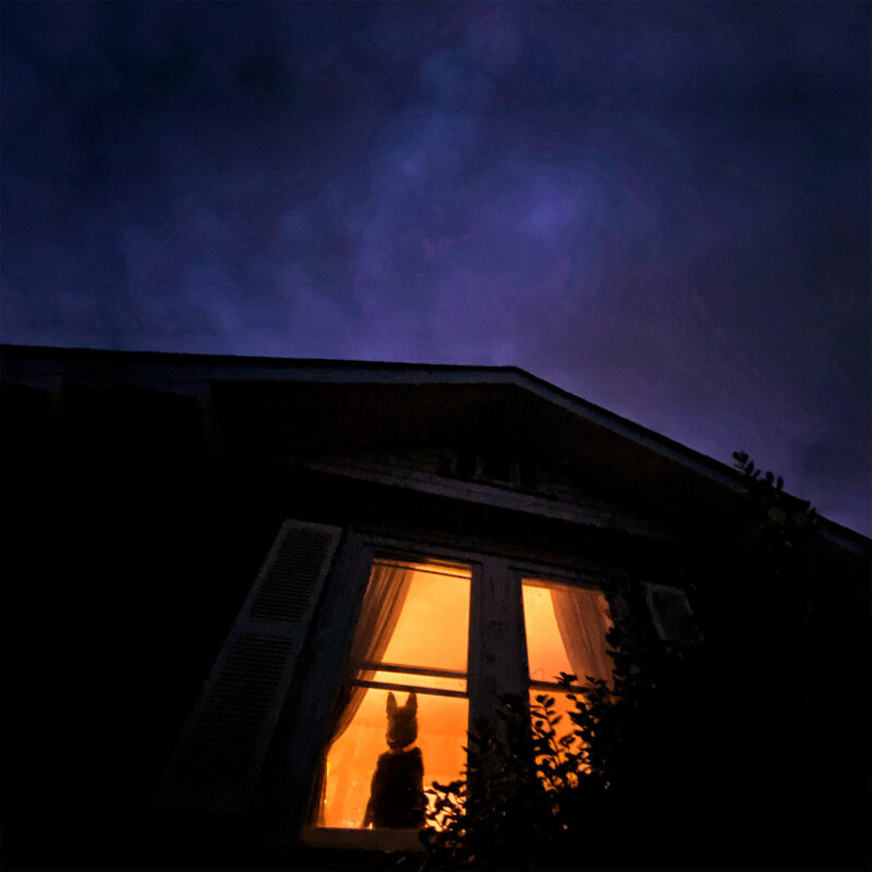 “Been Stuck in a Forest Lately” — Los Angeles Dreampop Duo Ruby Haunt Share Video for “Big Room”