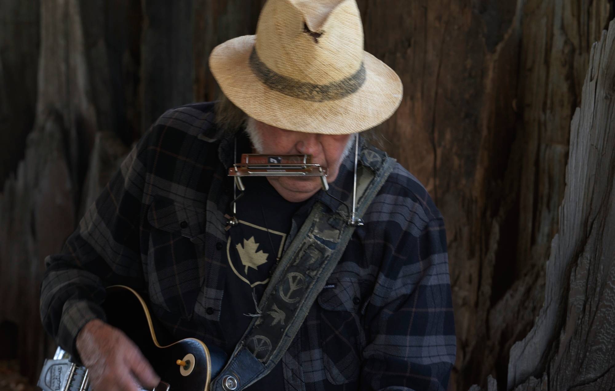 Neil Young announces new album with the Chrome Hearts, shares soothing title track ‘Second Song’