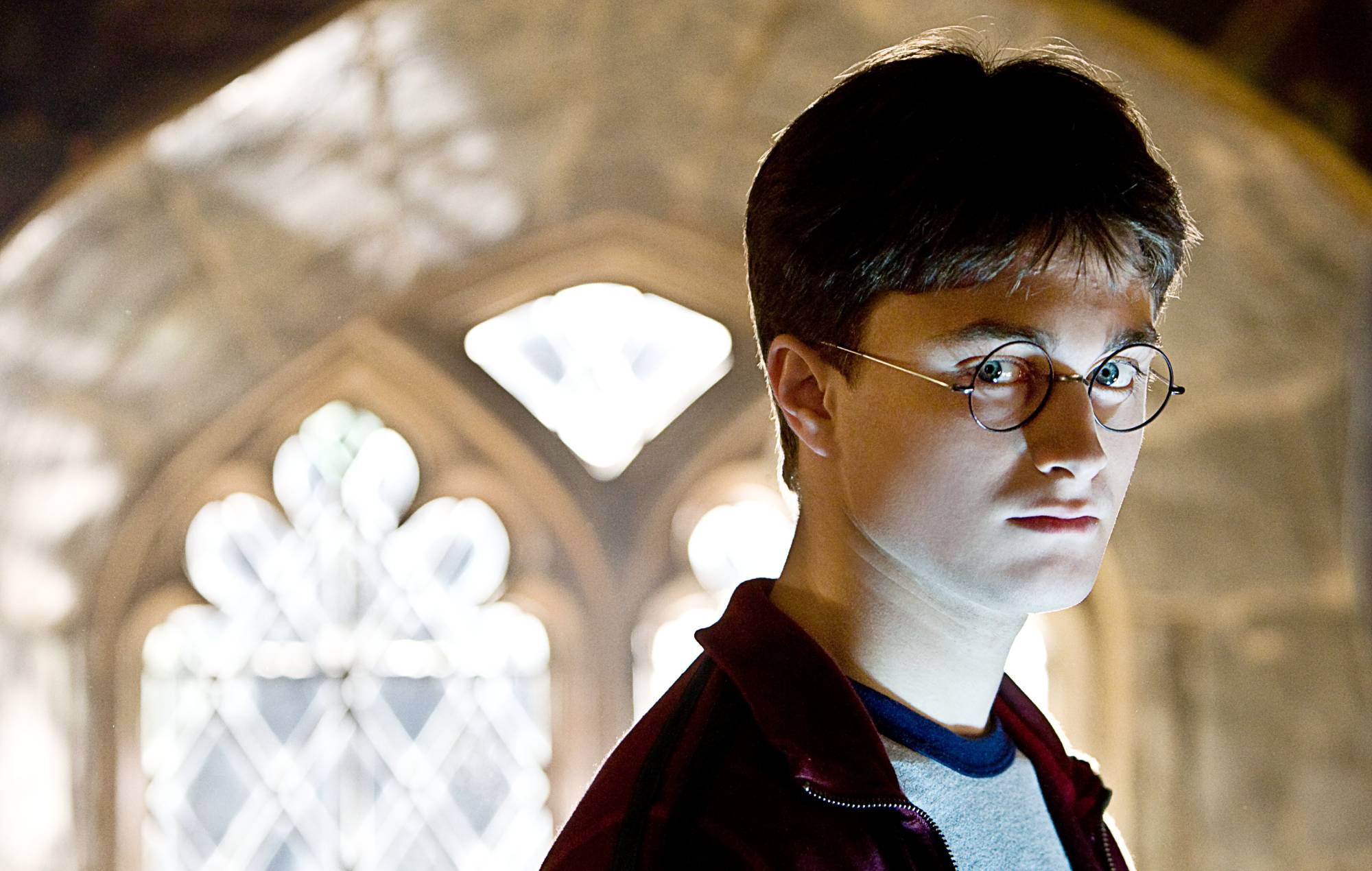 ‘Harry Potter’ fans succeed in moving construction project to avoid Dobby’s grave