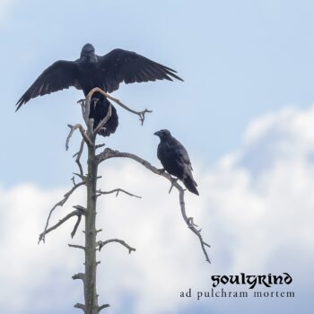 Soulgrind – Ad Pulchram Mortem Review