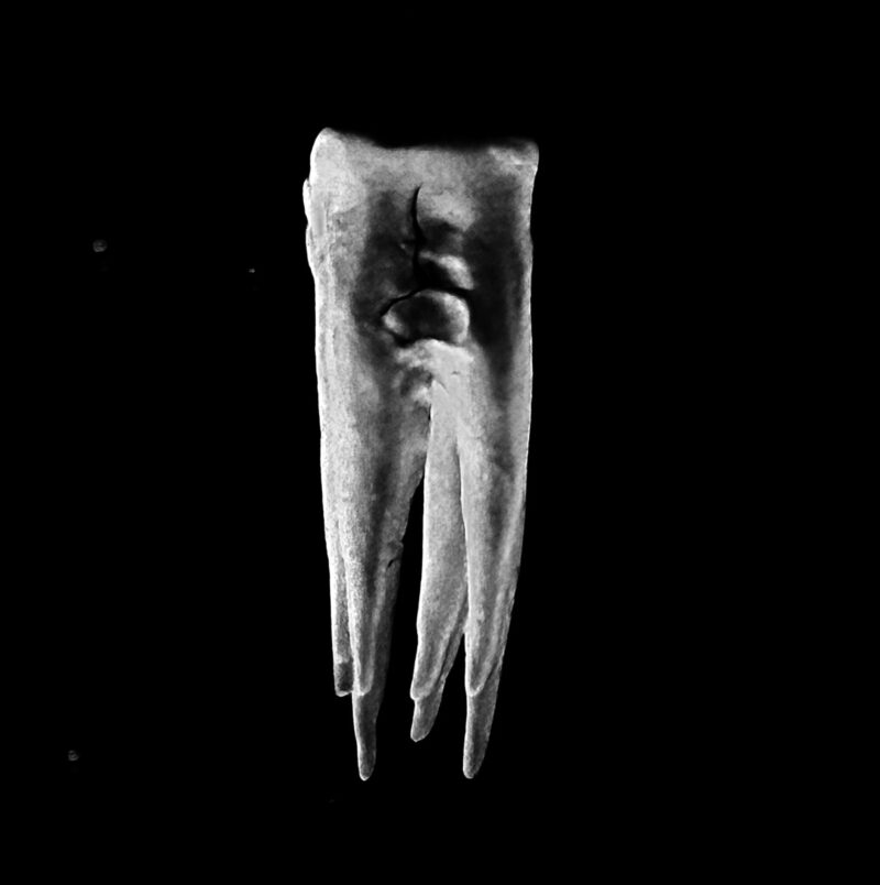 Los Angeles Trio Chalk Teeth Strut Through Industrial Decay in Expressionist Video for “Old Mill”